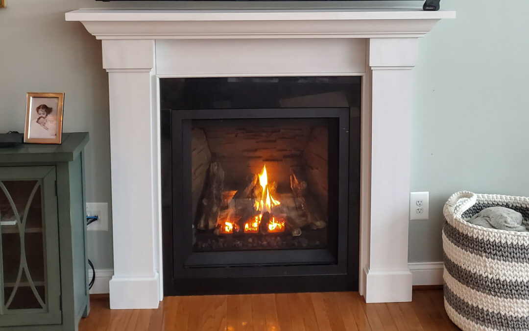 Enviro Q1 Gas Fireplace